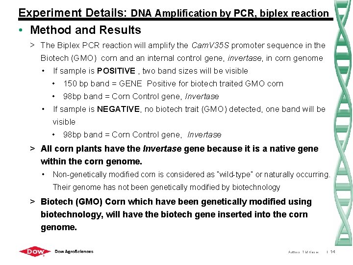 Experiment Details: DNA Amplification by PCR, biplex reaction • Method and Results > The