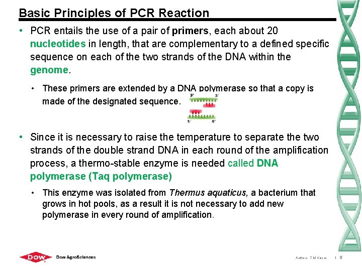 Basic Principles of PCR Reaction • PCR entails the use of a pair of