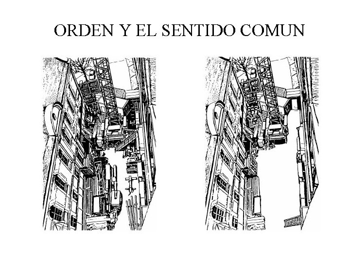 ORDEN Y EL SENTIDO COMUN 