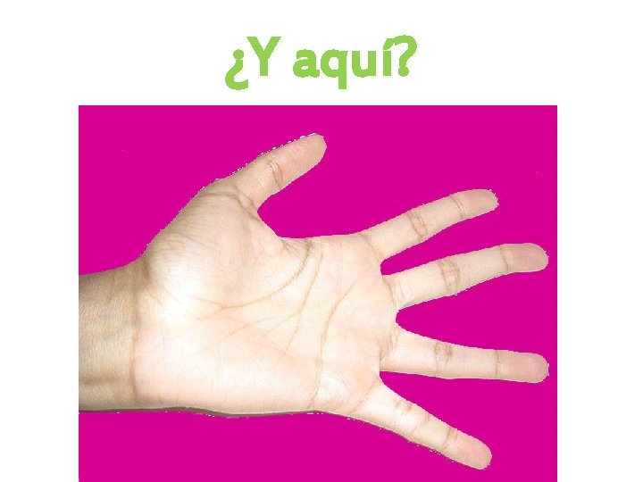 ¿Y aquí? 