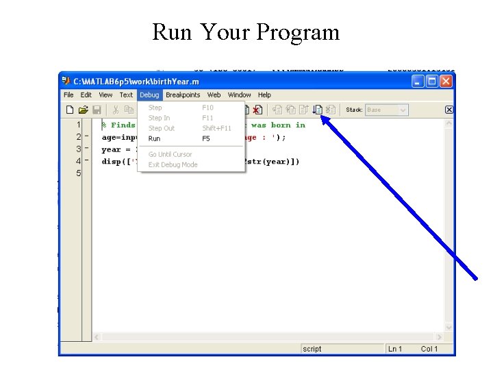 Run Your Program 