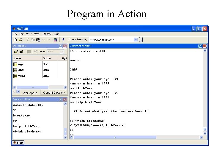 Program in Action 