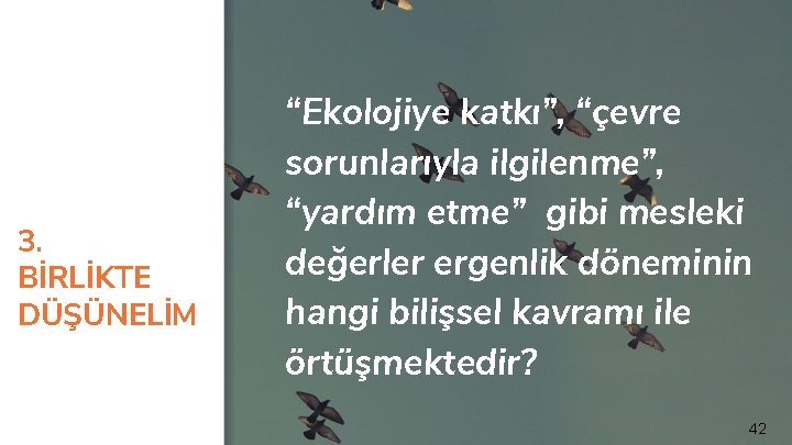 3. BİRLİKTE DÜŞÜNELİM “Ekolojiye katkı”, “çevre sorunlarıyla ilgilenme”, “yardım etme” gibi mesleki değerler ergenlik