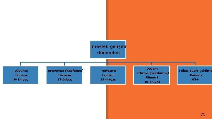 meslek gelişim dönemleri Büyüme Dönemi 0 -14 yaş Araştırma (Keşfetme) Dönemi 15 -24 yaş