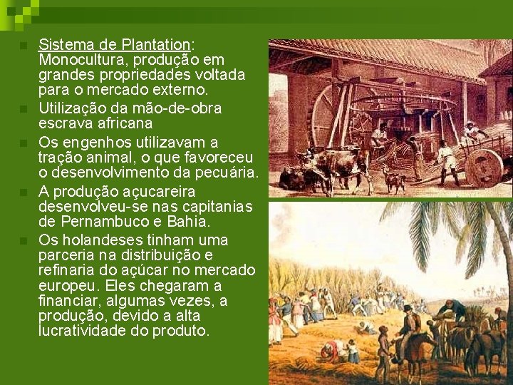 n n n Sistema de Plantation: Monocultura, produção em grandes propriedades voltada para o