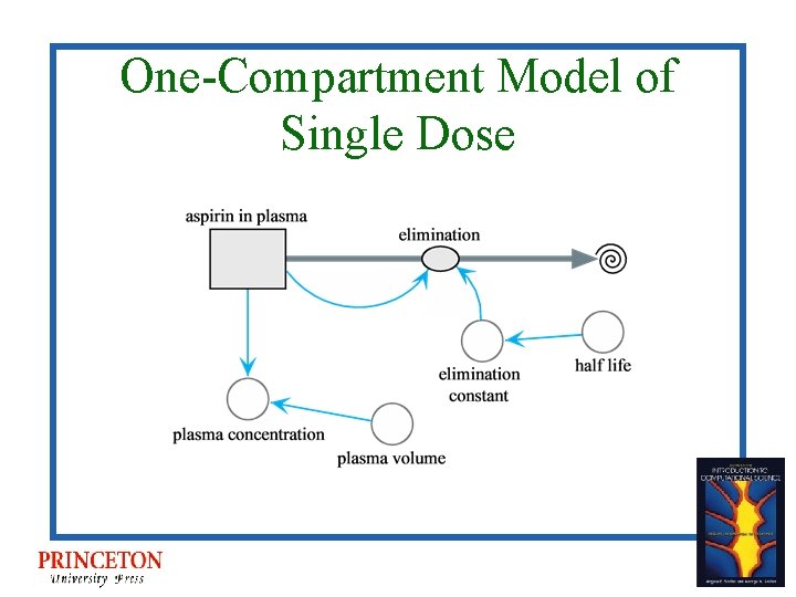 One-Compartment Model of Single Dose 