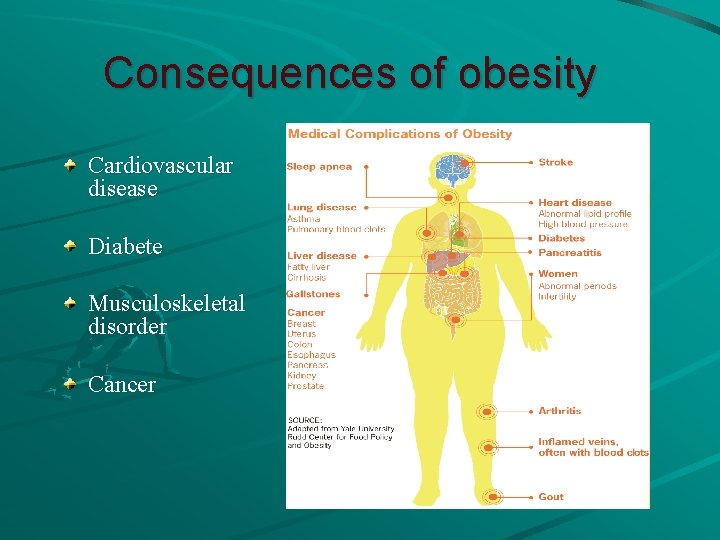 Consequences of obesity Cardiovascular disease Diabete Musculoskeletal disorder Cancer 