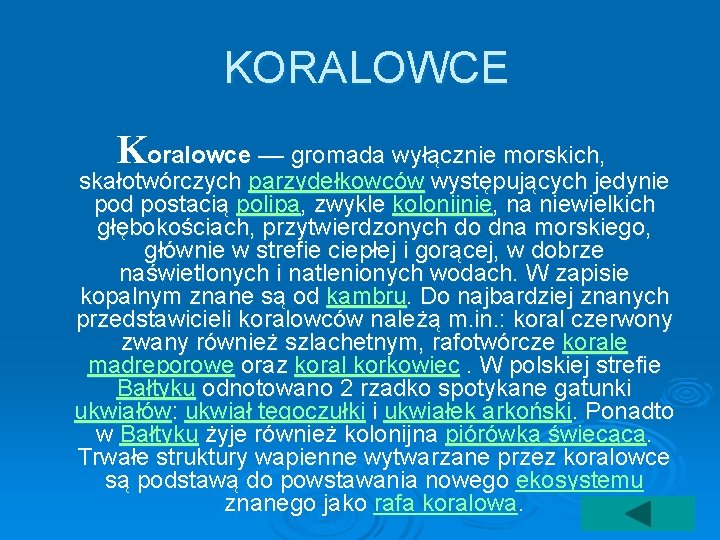 KORALOWCE Koralowce –– gromada wyłącznie morskich, skałotwórczych parzydełkowców występujących jedynie pod postacią polipa, zwykle