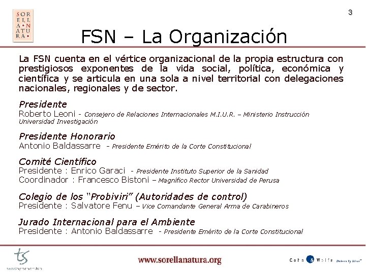 3 FSN – La Organización La FSN cuenta en el vértice organizacional de la