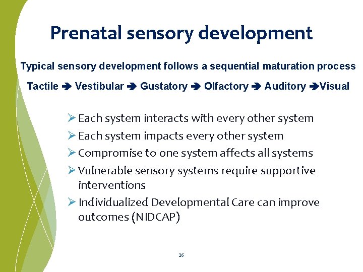 Prenatal sensory development Typical sensory development follows a sequential maturation process Tactile Vestibular Gustatory