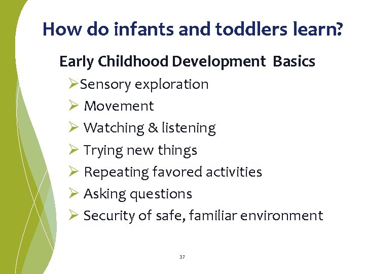 How do infants and toddlers learn? Early Childhood Development Basics ØSensory exploration Ø Movement