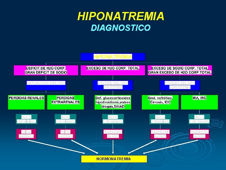 HIPONATREMIA DIAGNOSTICO NORMONATREMIA HIPONATREMIA DIAGNOSTICO NORMONATREMIA