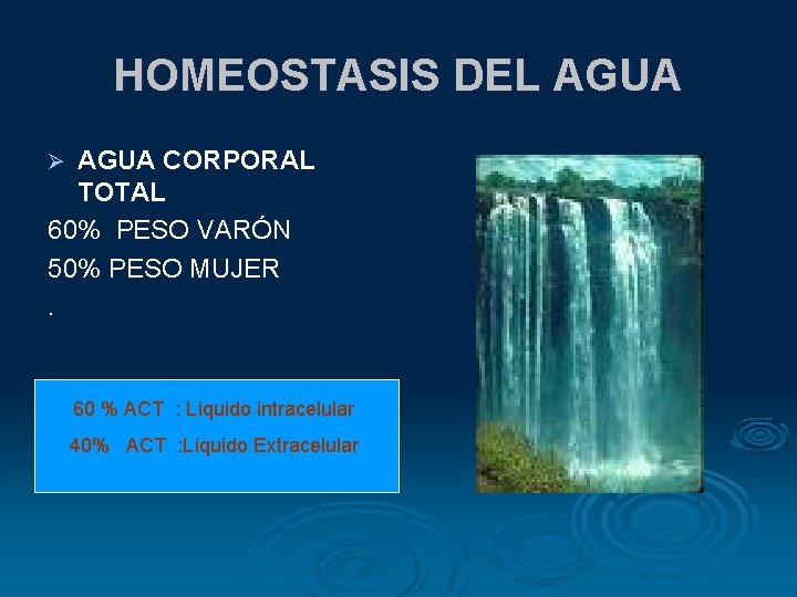 HOMEOSTASIS DEL AGUA CORPORAL TOTAL 60% PESO VARÓN 50% PESO MUJER. Ø 60 % HOMEOSTASIS DEL AGUA CORPORAL TOTAL 60% PESO VARÓN 50% PESO MUJER. Ø 60 %