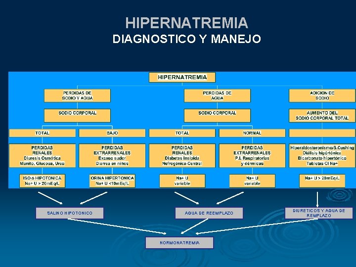 HIPERNATREMIA DIAGNOSTICO Y MANEJO SALINO HIPOTONICO AGUA DE REEMPLAZO NORMONATREMIA DIURETICOS Y AGUA DE HIPERNATREMIA DIAGNOSTICO Y MANEJO SALINO HIPOTONICO AGUA DE REEMPLAZO NORMONATREMIA DIURETICOS Y AGUA DE
