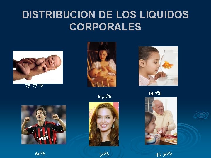 DISTRIBUCION DE LOS LIQUIDOS CORPORALES 75 -77 % 65. 5% 60% 50% 61. 7% DISTRIBUCION DE LOS LIQUIDOS CORPORALES 75 -77 % 65. 5% 60% 50% 61. 7%