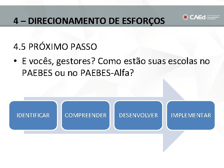 4 – DIRECIONAMENTO DE ESFORÇOS 4. 5 PRÓXIMO PASSO • E vocês, gestores? Como