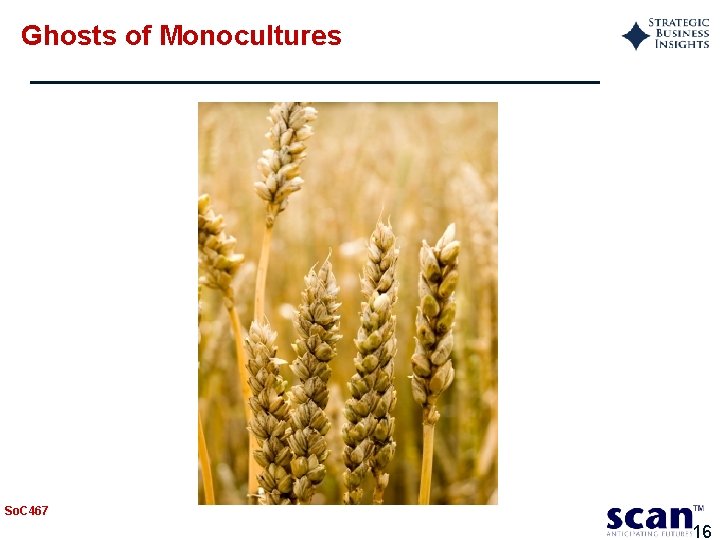 Ghosts of Monocultures So. C 467 16 