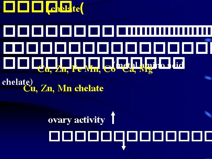 ����� (chelate( ����������� ������� amino acid Cu, Zn, Fe Mn, Co(metal Ca, Mg chelate.