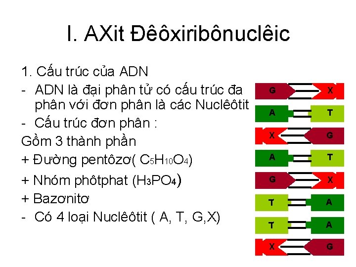 I. AXit Đêôxiribônuclêic 1. Cấu trúc của ADN - ADN là đại phân tử