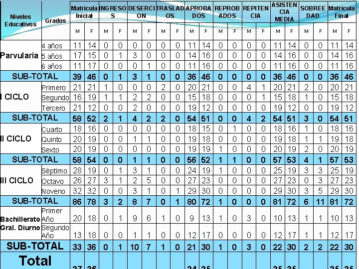 Niveles Educativos Grados 4 años Parvularia 5 años 6 años SUB-TOTAL I CICLO Primero