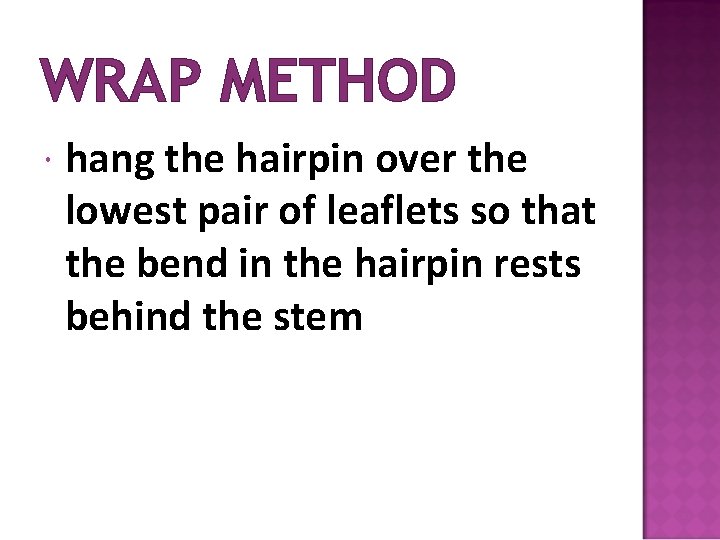 WRAP METHOD hang the hairpin over the lowest pair of leaflets so that the