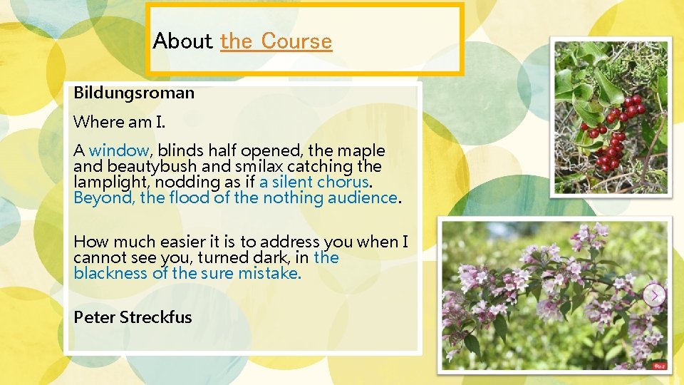About the Course Bildungsroman Where am I. A window, blinds half opened, the maple