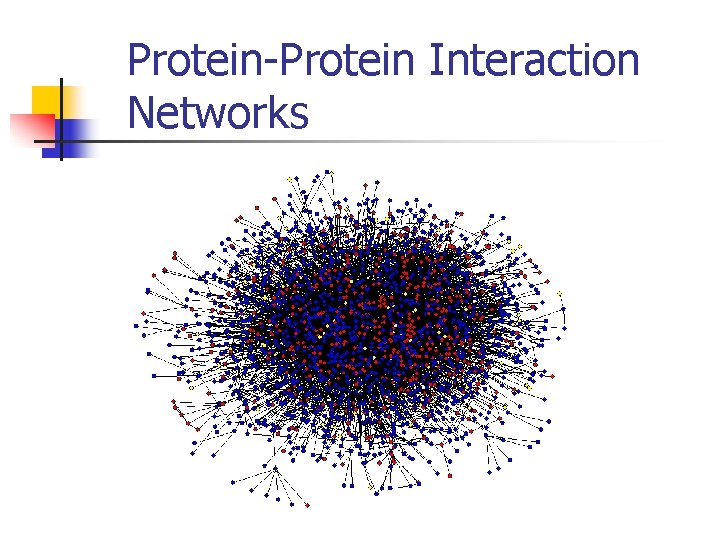 Protein-Protein Interaction Networks Protein-Protein Interaction Networks