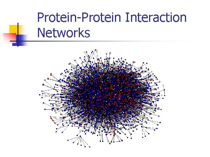 Protein-Protein Interaction Networks 