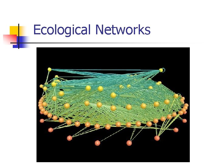 Ecological Networks 