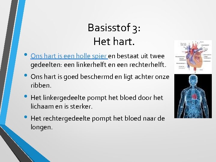 Basisstof 3: Het hart. • Ons hart is een holle spier en bestaat uit