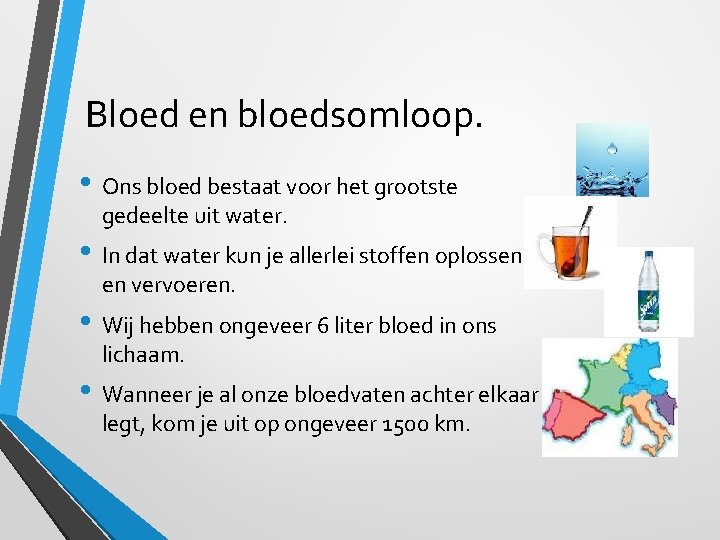 Bloed en bloedsomloop. • Ons bloed bestaat voor het grootste gedeelte uit water. •