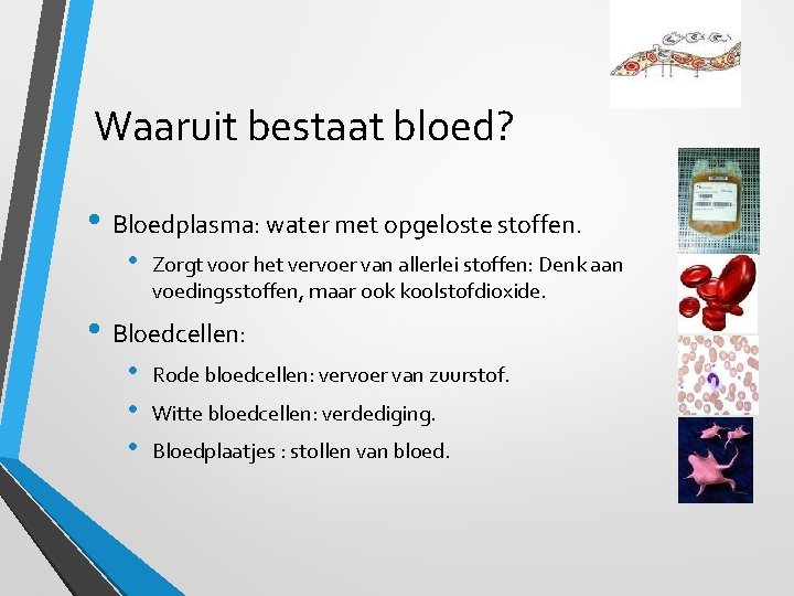 Waaruit bestaat bloed? • Bloedplasma: water met opgeloste stoffen. • Zorgt voor het vervoer