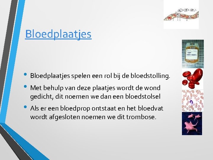 Bloedplaatjes • Bloedplaatjes spelen een rol bij de bloedstolling. • Met behulp van deze
