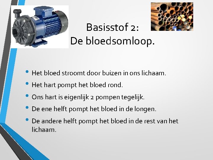 Basisstof 2: De bloedsomloop. • Het bloed stroomt door buizen in ons lichaam. •