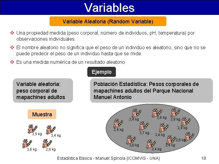 Variables Variable Aleatoria (Random Variable) v Una propiedad medida (peso corporal, número de individuos,