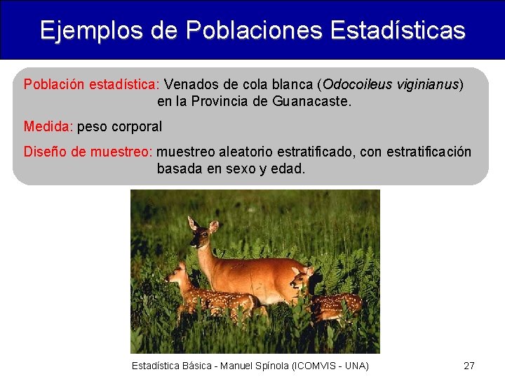 Ejemplos de Poblaciones Estadísticas Población estadística: Venados de cola blanca (Odocoileus viginianus) en la