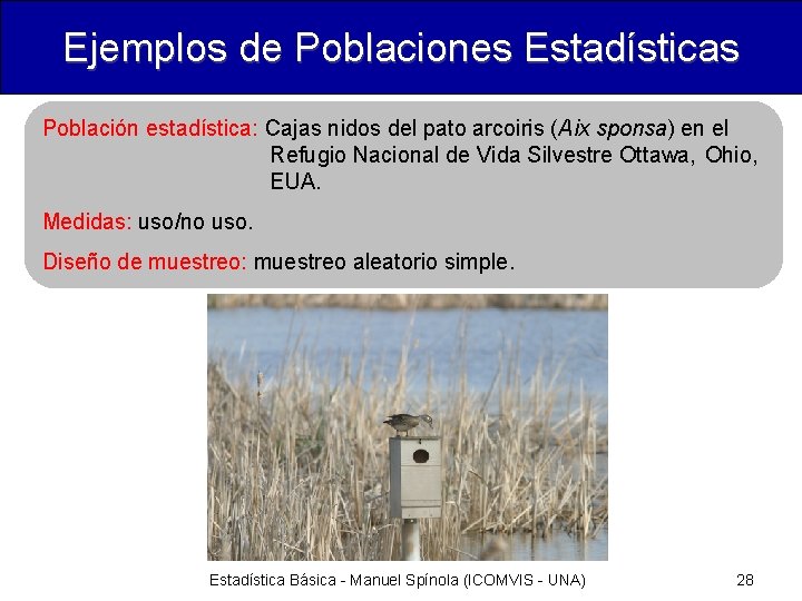 Ejemplos de Poblaciones Estadísticas Población estadística: Cajas nidos del pato arcoiris (Aix sponsa) en