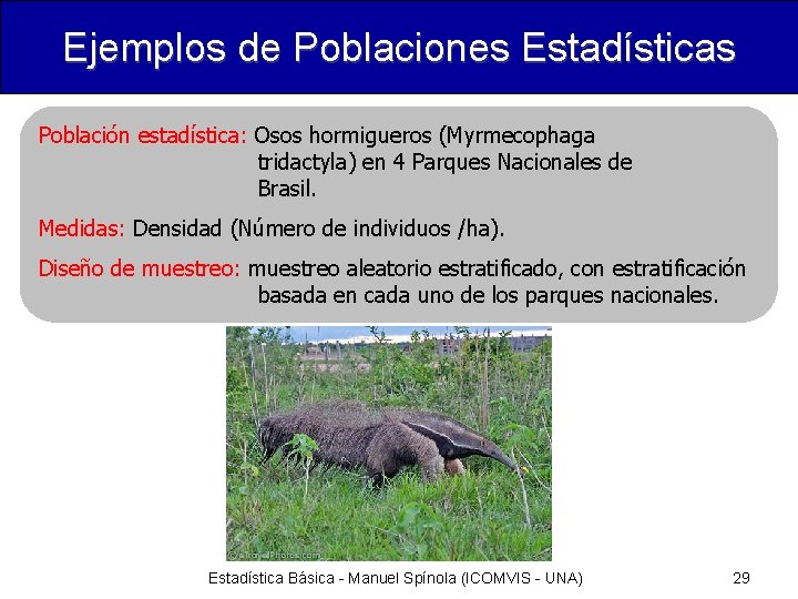 Ejemplos de Poblaciones Estadísticas Población estadística: Osos hormigueros (Myrmecophaga tridactyla) en 4 Parques Nacionales
