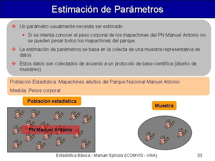 Estimación de Parámetros v Un parámetro usualmente necesita ser estimado § Si se intenta