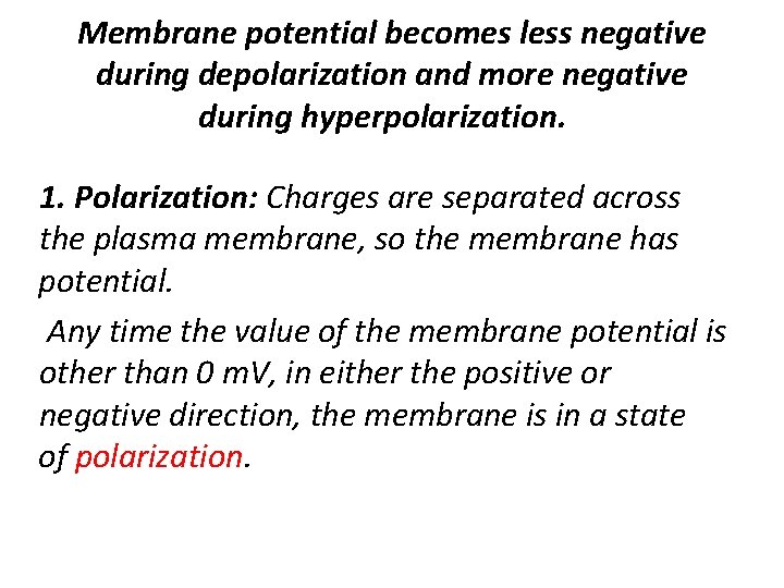 Membrane potential becomes less negative during depolarization and more negative during hyperpolarization. 1. Polarization: