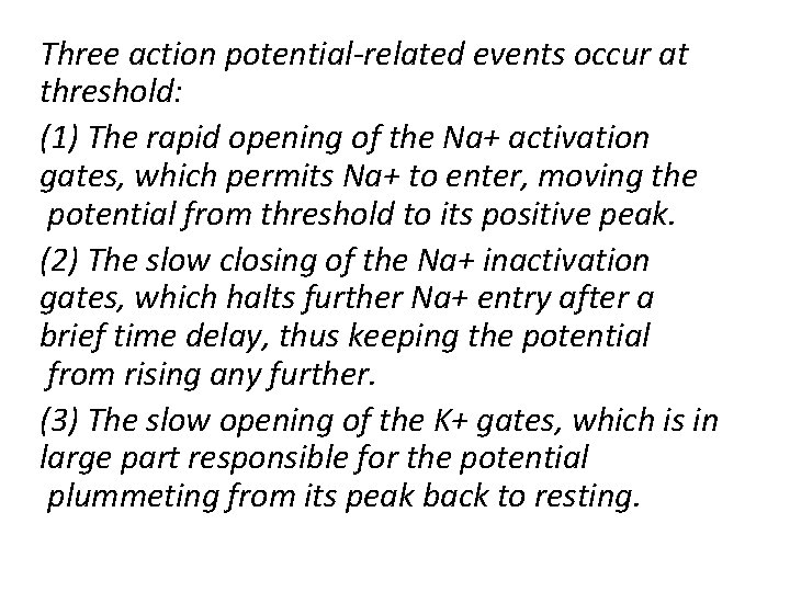 Three action potential-related events occur at threshold: (1) The rapid opening of the Na+