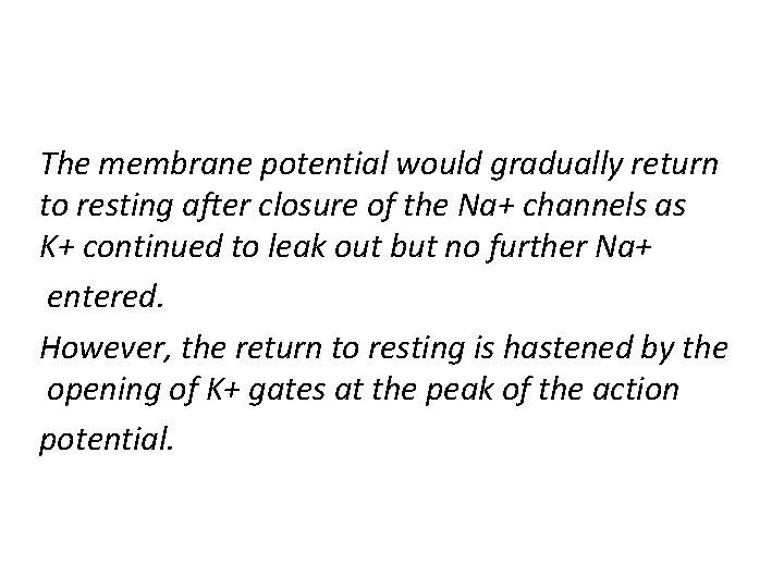 The membrane potential would gradually return to resting after closure of the Na+ channels