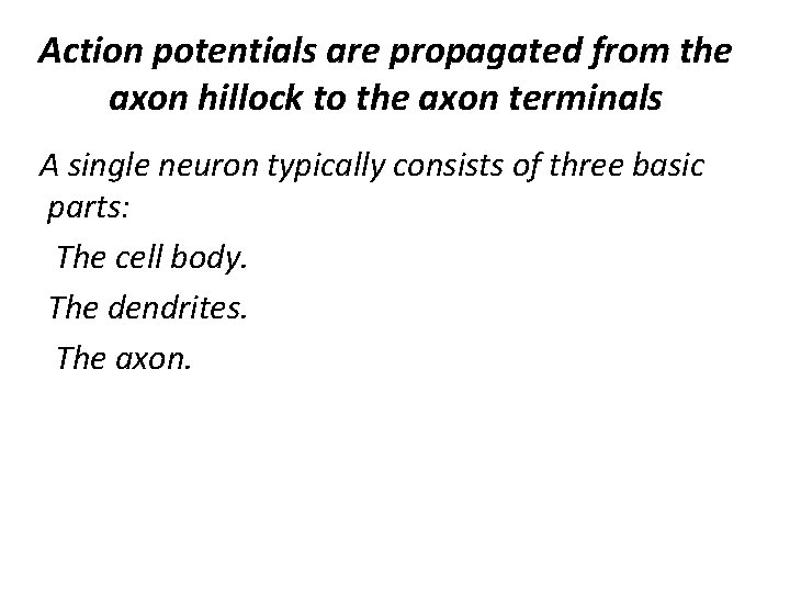 Action potentials are propagated from the axon hillock to the axon terminals A single