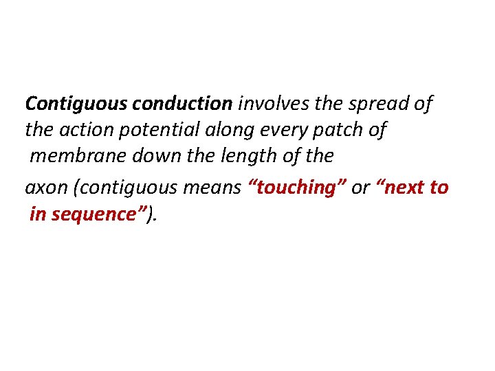Contiguous conduction involves the spread of the action potential along every patch of membrane