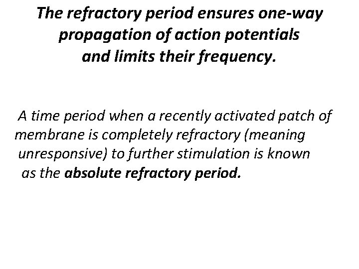 The refractory period ensures one-way propagation of action potentials and limits their frequency. A