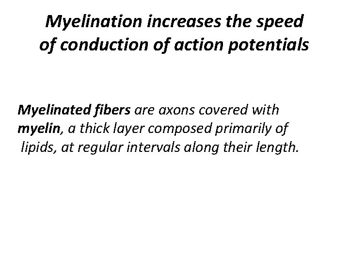 Myelination increases the speed of conduction of action potentials Myelinated fibers are axons covered
