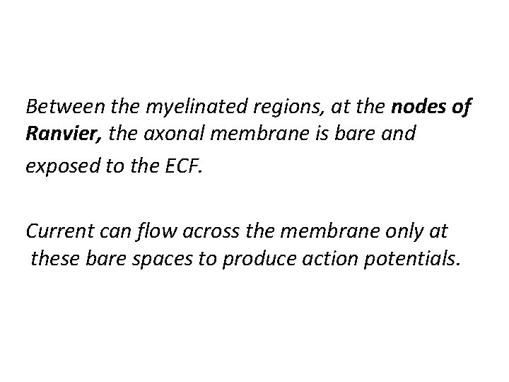 Between the myelinated regions, at the nodes of Ranvier, the axonal membrane is bare
