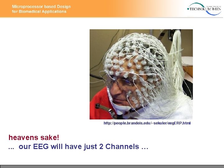 http: //people. brandeis. edu/~sekuler/eeg. ERP. html heavens sake!. . . our EEG will have http: //people. brandeis. edu/~sekuler/eeg. ERP. html heavens sake!. . . our EEG will have