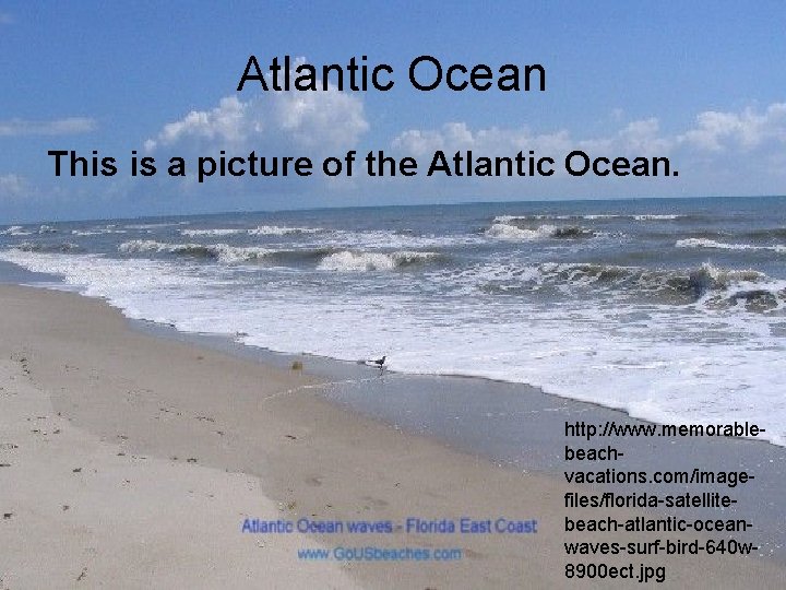 Atlantic Ocean This is a picture of the Atlantic Ocean. http: //www. memorablebeachvacations. com/imagefiles/florida-satellitebeach-atlantic-oceanwaves-surf-bird-640