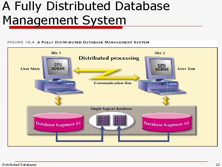 A Fully Distributed Database Management System Distributed Databases 12 A Fully Distributed Database Management System Distributed Databases 12